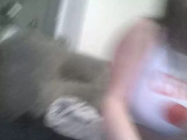 NansyyLiana on BongaCams 