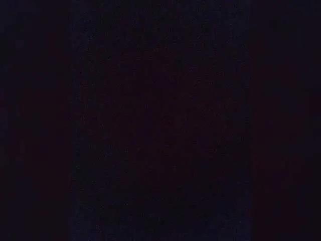OnyxFox on BongaCams