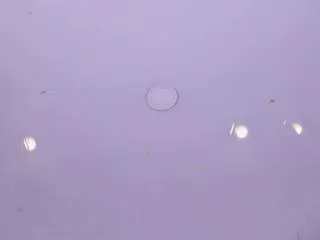 estef-love — Clap my big ass with oil  [69 tokens remaining]