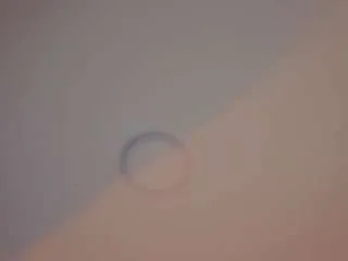 nina-rose on CamSoda 