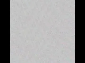 audreyp — Rica Selva Peruana Hairy Pussy PVT ON  Quest is Bra off with 11 Dirty Dimes left #Hairypussy #Hairy #Bush #natural #amateur