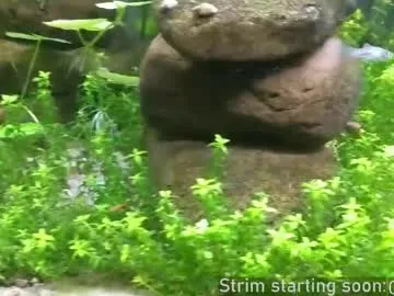 booker_baxton on Chaturbate 