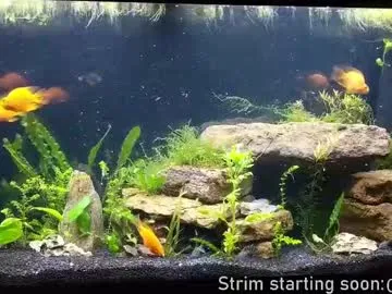 booker_baxton on Chaturbate 