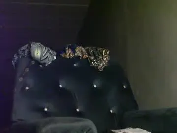 sunnyjohn447 on Chaturbate 