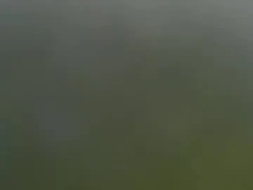 wisanonymousman on Chaturbate