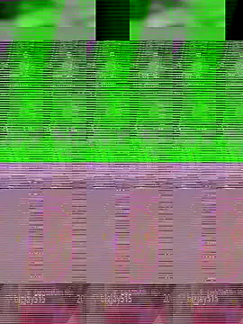 Aaisha-16 on StripChat 