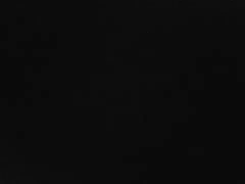 DamianandSofia on StripChat