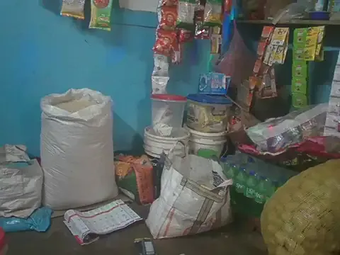 FriskyGender — For toy fun