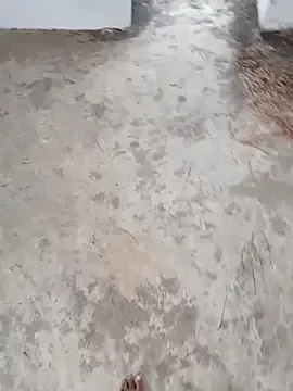 hemcrazy — Show  my ass hole on the road