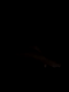 PEACHY439 on StripChat