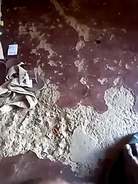 sexicaribe2 — Sexo oral 2