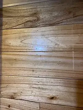 violet-00 — Thng em 